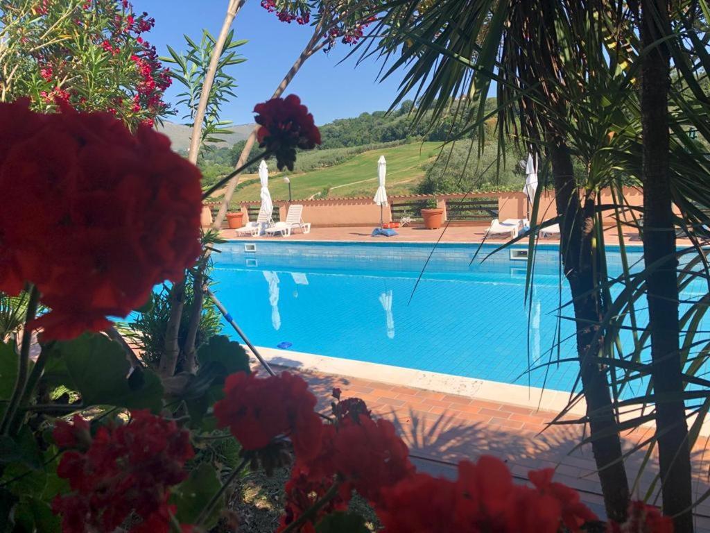 Rea Villa Coltodino Exterior foto